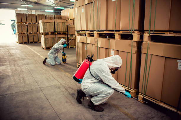 Pest Control Cost in Stevens Point, WI