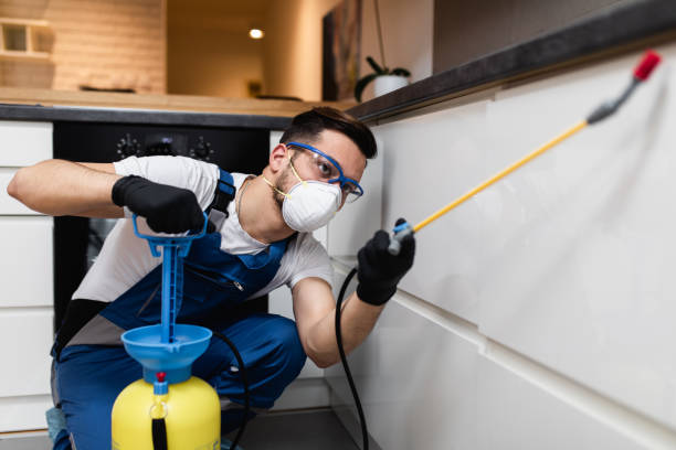 Flea Control Services in Stevens Point, WI
