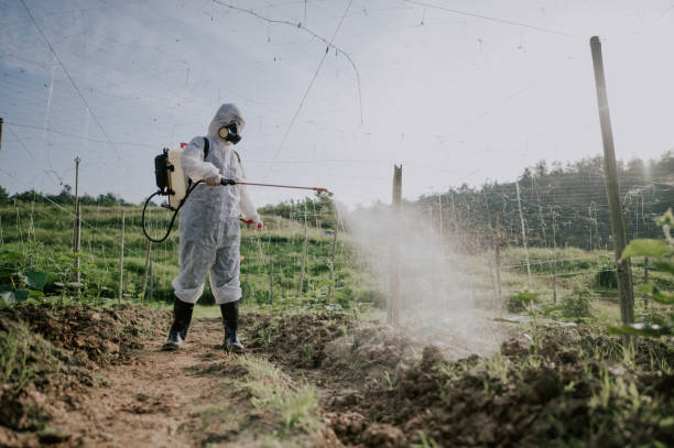 Best Best Pest Control Companies  in Stevens Point, WI