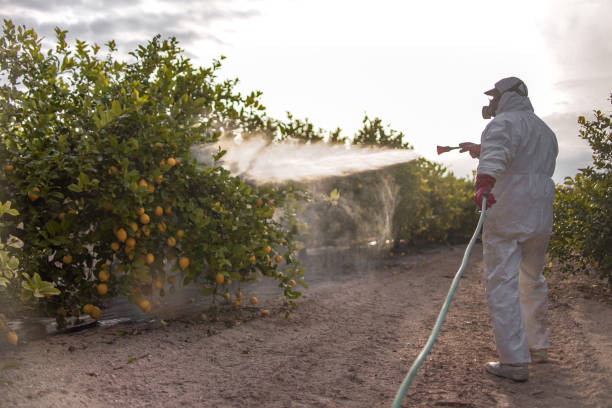 Best Cockroach Control Services  in Stevens Point, WI