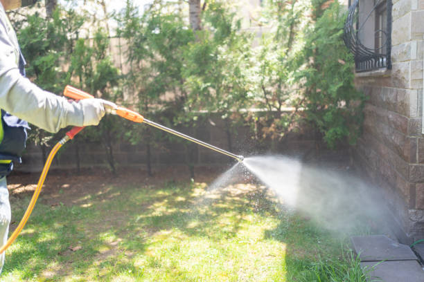 Best Rat Extermination Near Me  in Stevens Point, WI