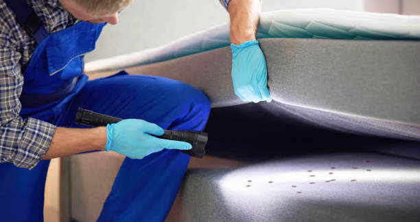 Best Wasp Removal Services  in Stevens Point, WI