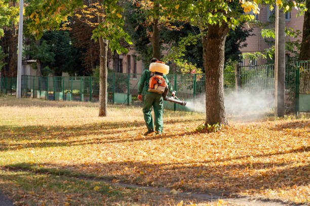Wildlife Control Services in Stevens Point, WI