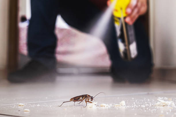 Best Pest Control for Restaurants  in Stevens Point, WI