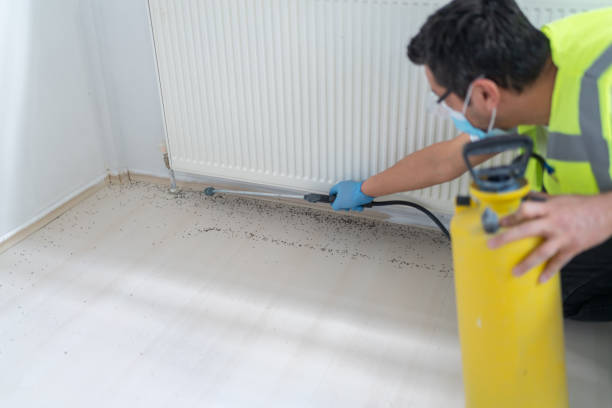Best Affordable Pest Control Services  in Stevens Point, WI