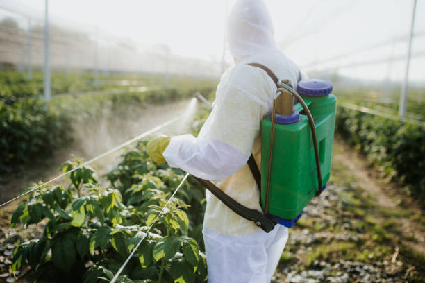 Best Ant Control Services  in Stevens Point, WI